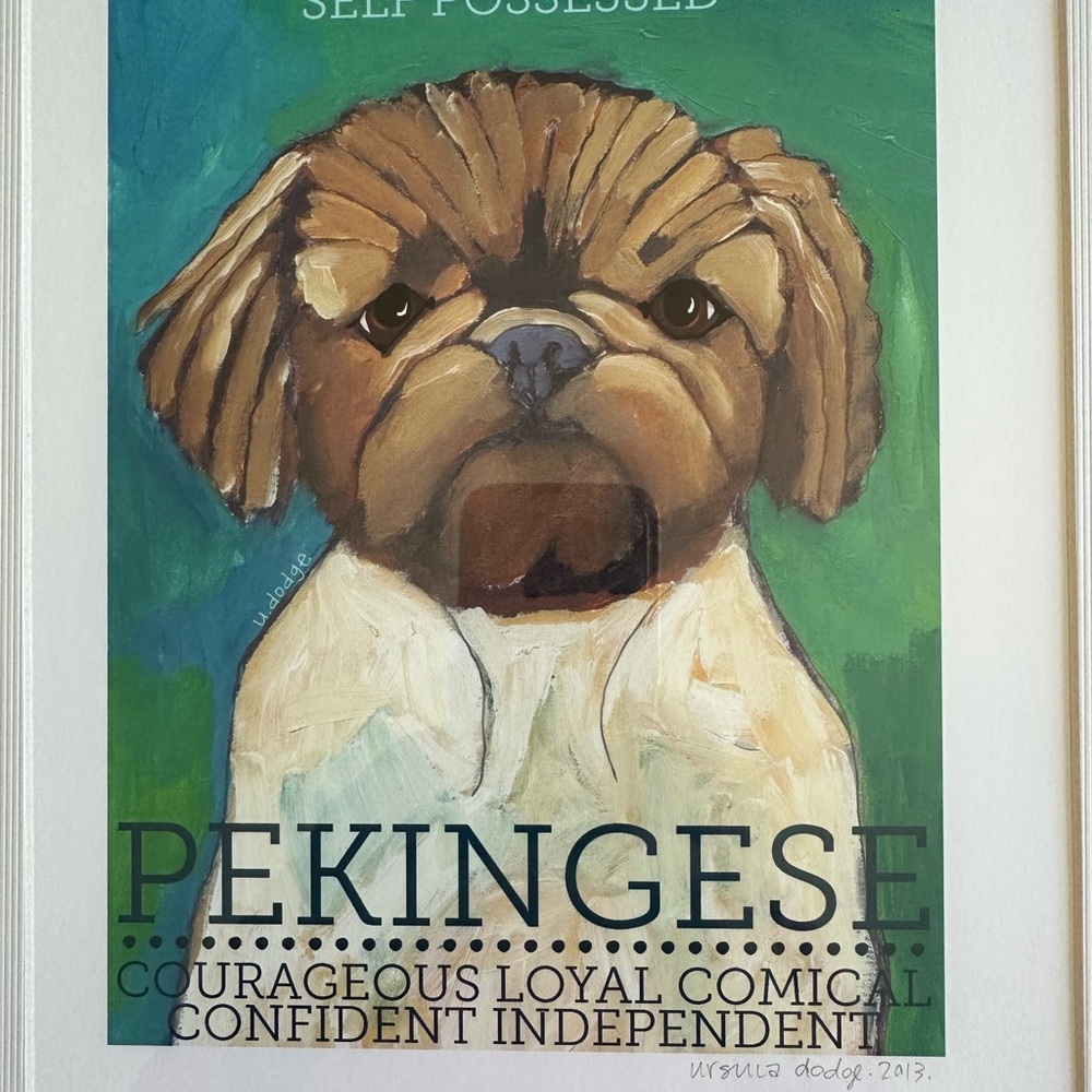 Pekingese Dog Art Print